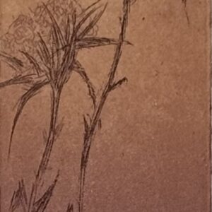 S/T (cardo mini metal)