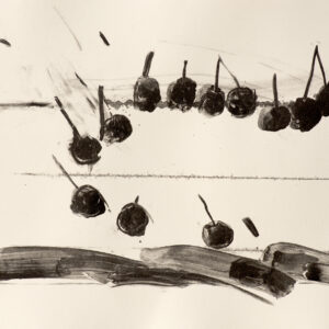 ST(cerezas musicales)